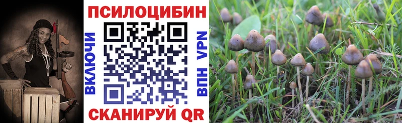 Псилоцибиновые грибы ЛСД  ссылка на мегу ССЫЛКА  Белорецк  купить  